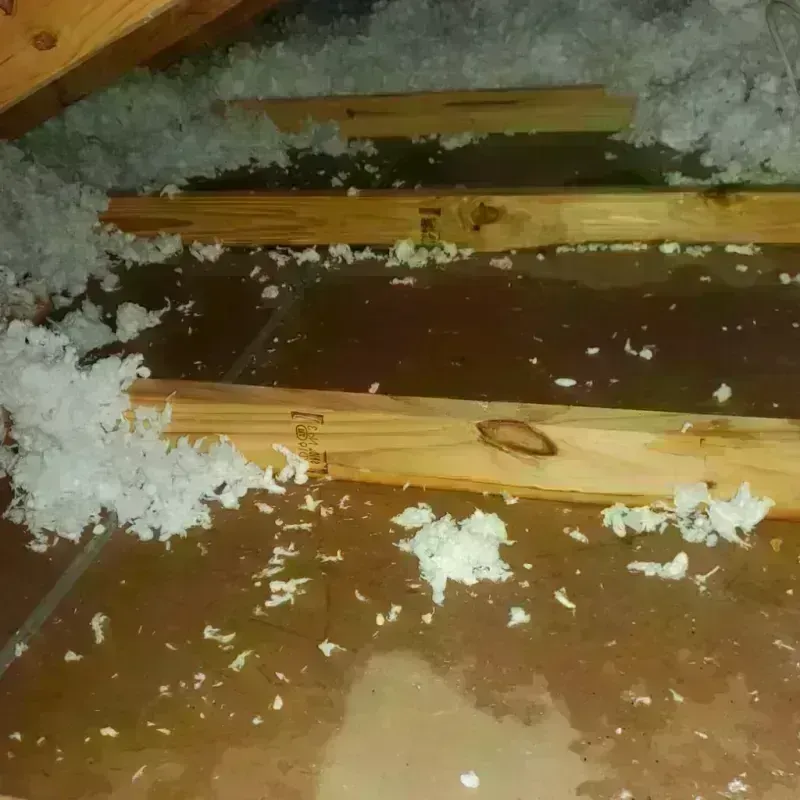 Attic Water Damage in Anacortes, WA