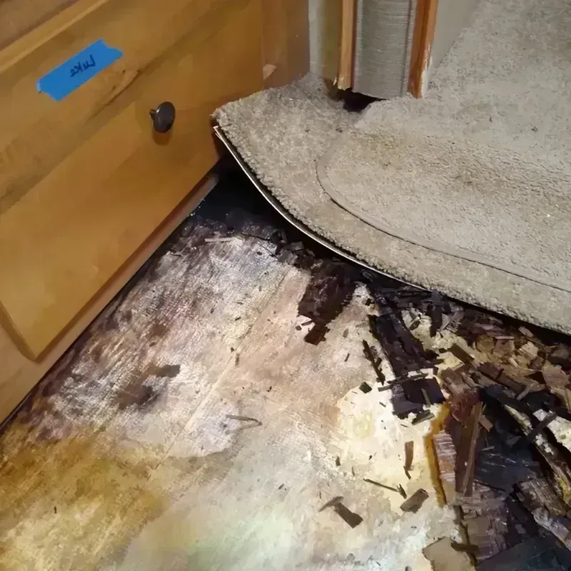 Best Wood Floor Water Damage Service in Anacortes, WA